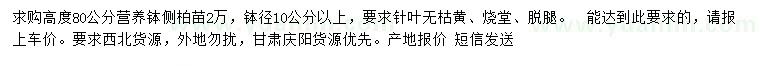 求購高80公分側(cè)柏