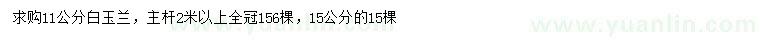 求購11、15公分白玉蘭
