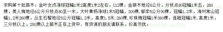 求購金葉女貞、金銀木、美人梅等