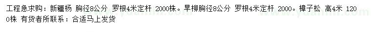 求購新疆楊、旱柳、樟子松