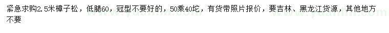 求購2.5米樟子松
