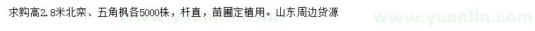 求購高2.8米北欒、五角楓