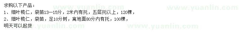 求購(gòu)10、13-15公分細(xì)葉欖仁