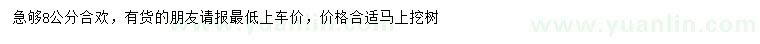 求購(gòu)8公分合歡