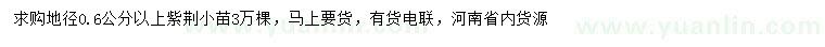 求購(gòu)地徑0.6公分以上紫荊小苗