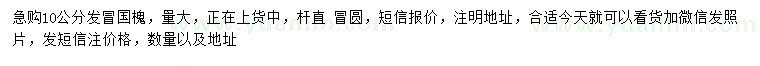 求購10公分國槐