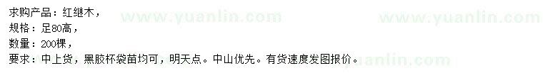 求購高80公分紅繼木