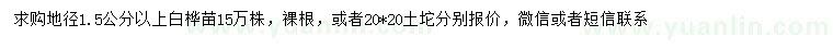 求購地徑1.5公分以上白樺