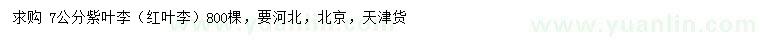 求購(gòu)7公分紫葉李