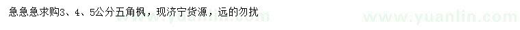 求購3、4、5公分五角楓