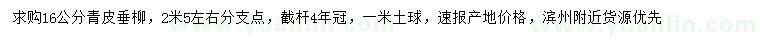 求購16公分青皮垂柳
