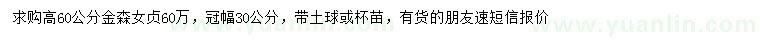 求購高60公分金森女貞