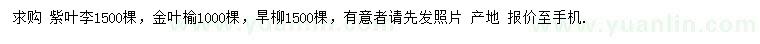 求購紫葉李、金葉榆、旱柳