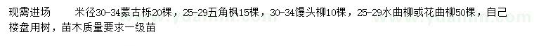 求購蒙古櫟、五角楓、饅頭柳等