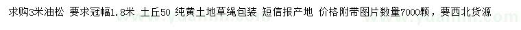 求購3米油松