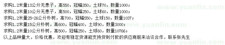 求購(gòu)1.2米量10、13公分無(wú)患子、1.2米量10、15、25-26公分樸樹(shù)