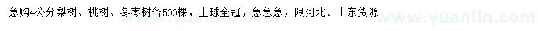 求購梨樹、桃樹、冬棗樹