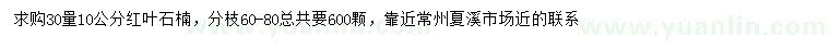 求購30量10公分紅葉石楠