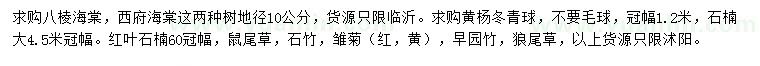 求購八棱海棠、西府海棠、黃楊冬青球等