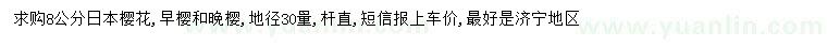 求購30量8公分日本櫻花