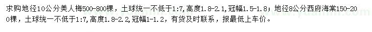 求購(gòu)地徑10公分美人梅、地徑8公分西府海棠