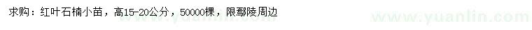 求購高15-20公分紅葉石楠