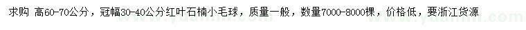 求購冠幅30-40公分紅葉石楠小毛球