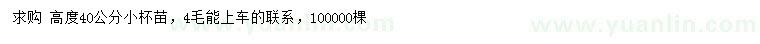 求購高40公分紅葉石楠
