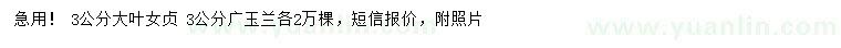 求購(gòu)3公分大葉女貞、廣玉蘭