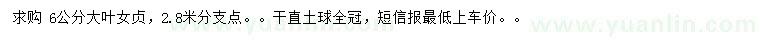 求購6公分大葉女貞