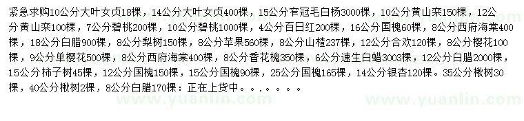 求購大葉女貞、毛白楊、黃山欒等