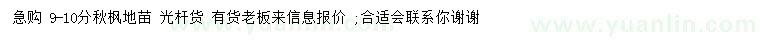 求購(gòu)9-10公分秋楓
