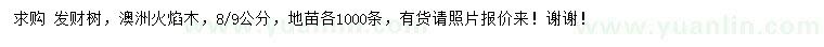求購8、9公分發(fā)財樹、澳洲火焰木