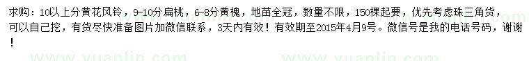 求購黃花風鈴木、扁桃、黃槐