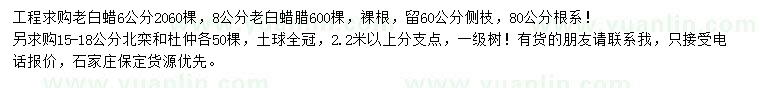 求購老白蠟、北欒、杜仲