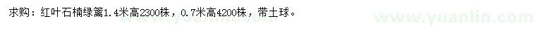 求購(gòu)高0.7、1.4米紅葉石楠