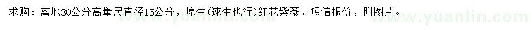 求購(gòu)30公分量15公分紅花紫薇