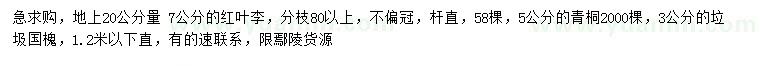求購(gòu)紅葉李、青桐、國(guó)槐