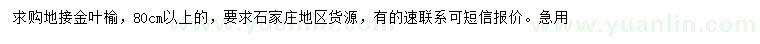 求購(gòu)80公分以上地接金葉榆
