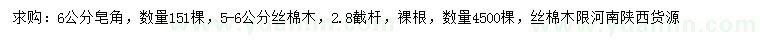 求購(gòu)6公分皂角、5-6公分絲棉木