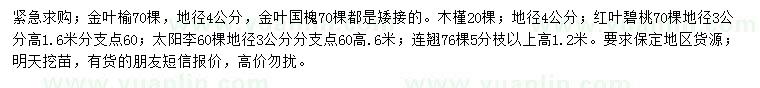 求購金葉榆、金葉國槐、木槿等