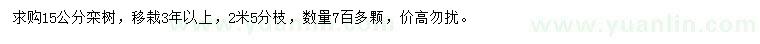 求購15公分欒樹