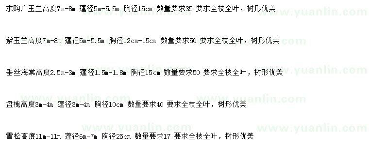 求購(gòu)廣玉蘭、紫玉蘭、垂絲海棠等