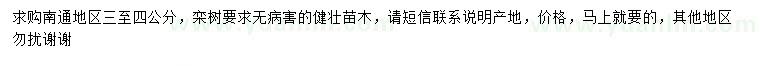 求購3-4公分黃山欒樹