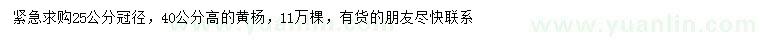 求購(gòu)冠幅25公分黃楊