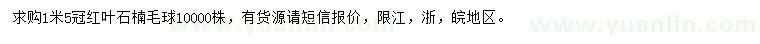 求購冠幅1.5米紅葉石楠毛球