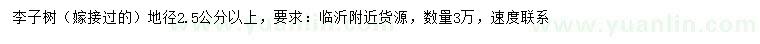 求購(gòu)地徑2.5公分以上李子樹