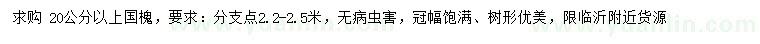 求購20公分以上國槐