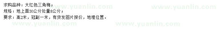 求購(gòu)30公分量8公分三角梅