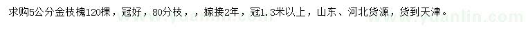 求購5公分金枝槐